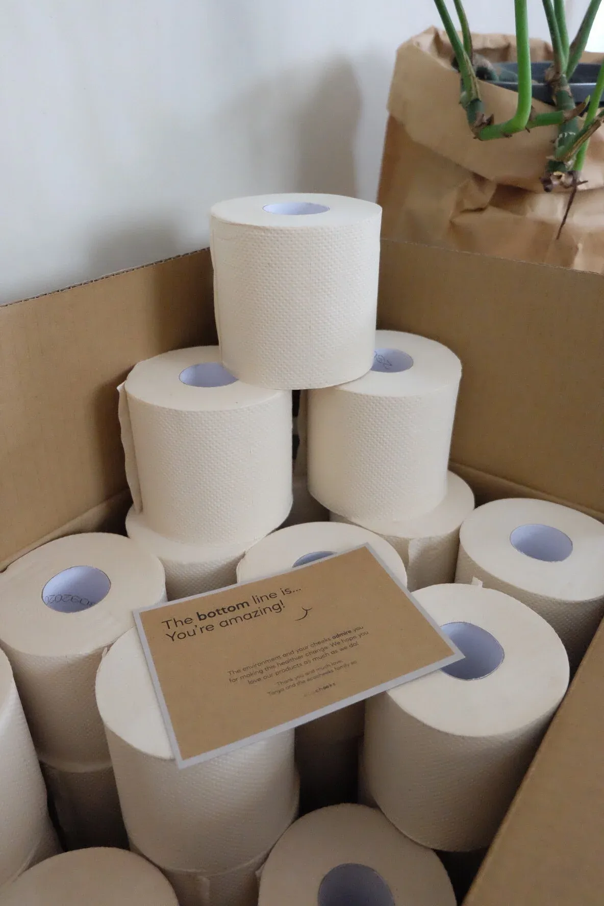 eco+cheeks+toilet+paper